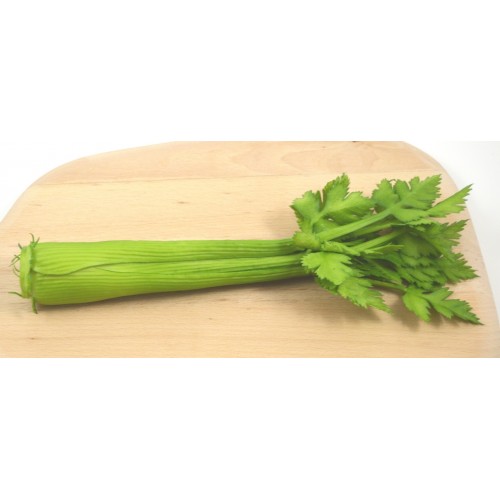 Celery 11"